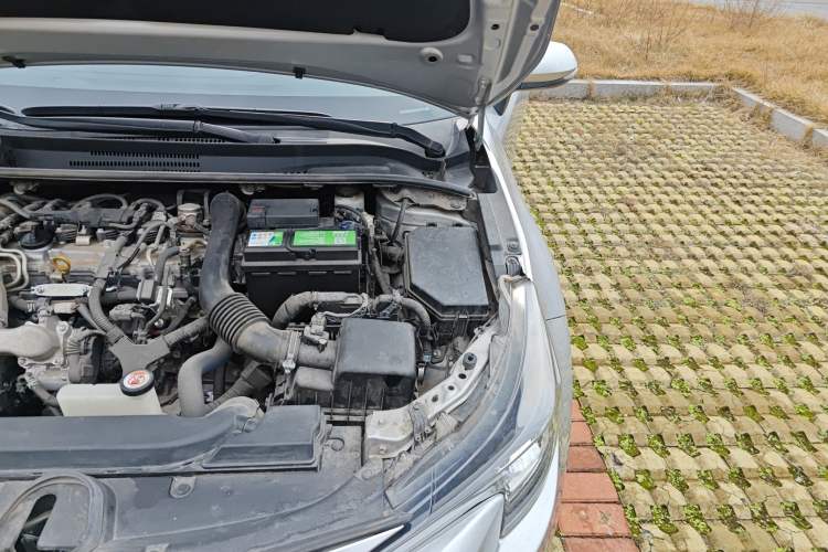 Used Toyota Levin 2019 185T CVT Luxury Edition China VI Standard Engine Bay Left