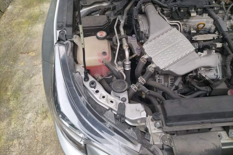 Used Toyota Levin 2019 185T CVT Luxury Edition China VI Standard Engine Bay Right