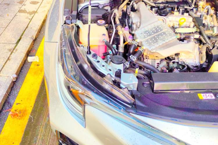 Used Toyota Levin 2019 185T CVT Sport Edition China VI Standard Engine Bay Right