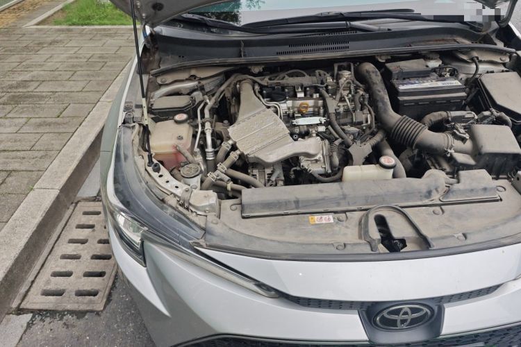 Used Toyota Levin 2019 185T CVT Luxury Edition China VI Standard Engine Bay Right
