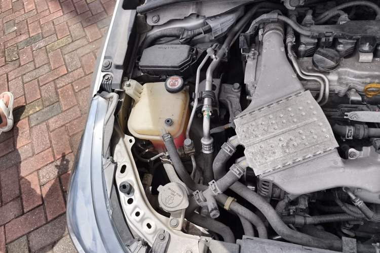 Used Toyota Levin 2019 185T CVT Luxury Edition China VI Standard Engine Bay Right