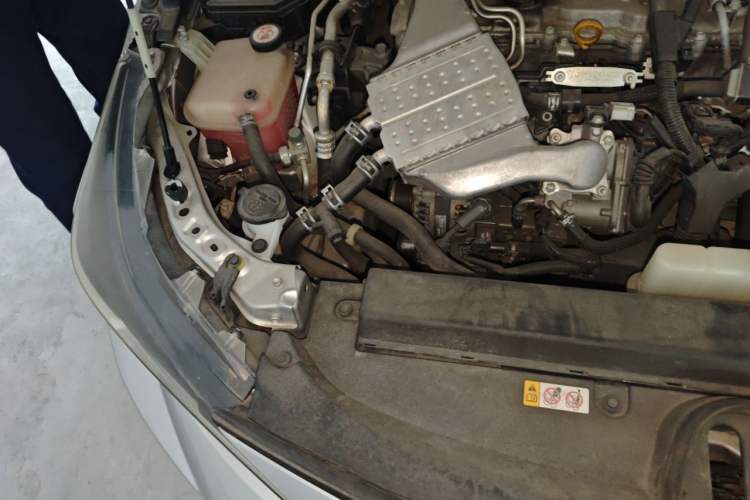 Used Toyota Levin 2019 185T CVT Luxury Edition China V Standard Engine Bay Right