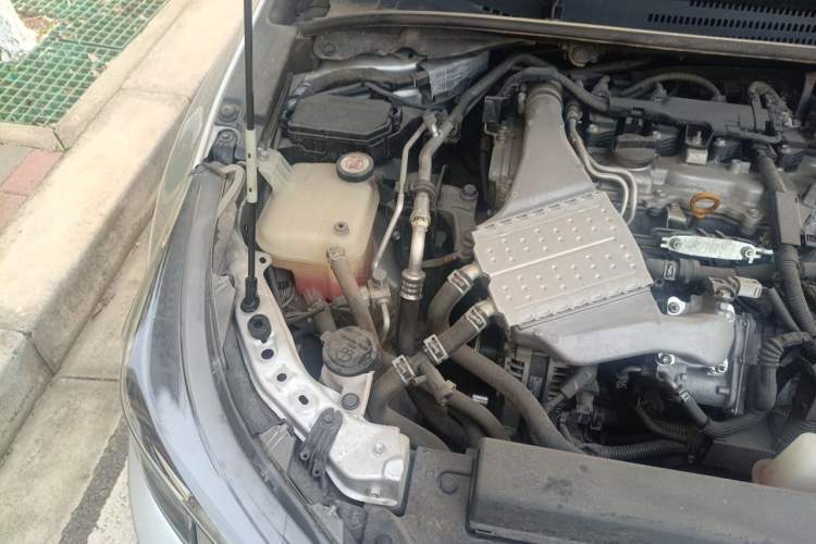 Used Toyota Levin 2019 185T CVT Luxury Edition China VI Standard Engine Bay Right