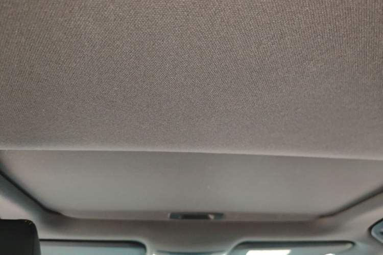 Used Toyota Levin 2019 185T CVT Luxury Edition China V Standard Headliner