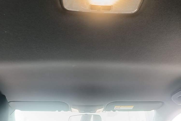 Used Toyota Levin 2019 185T CVT Entry-Level Version China VI Standard Headliner