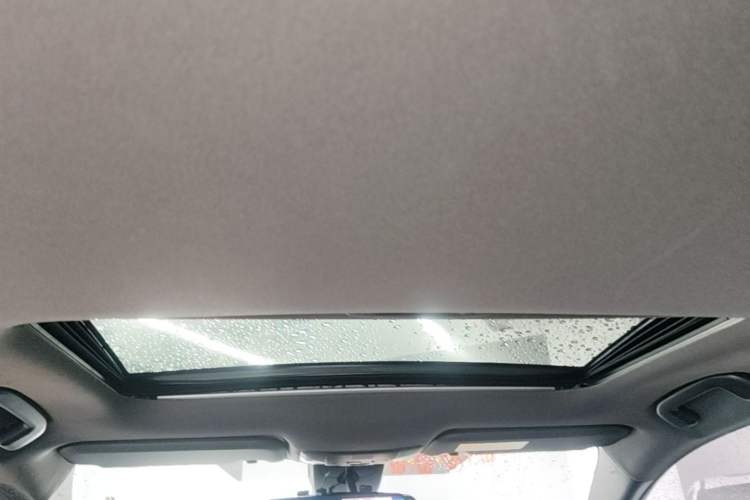 Used Toyota Levin 2019 185T CVT Luxury Edition China VI Standard Headliner