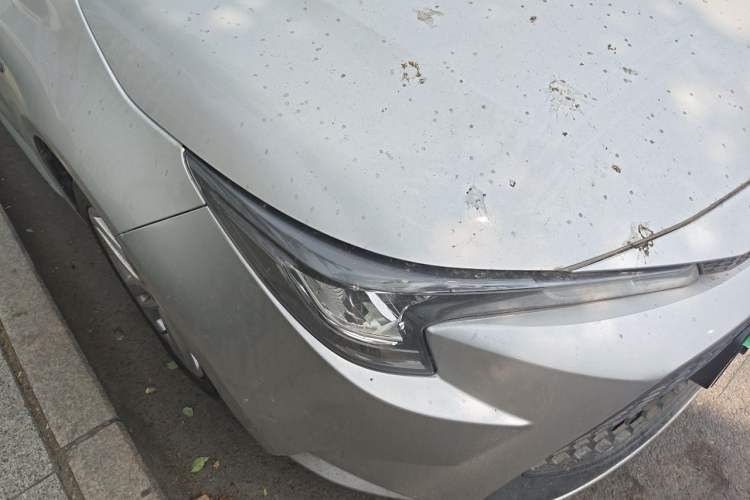 Used Toyota Levin 2019 Dual-Engine 1.8H E-CVT Entry-Level Model China VI Standard Right Front Headlight