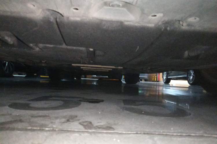 Used Toyota Levin 2019 185T CVT Entry-Level Version China VI Standard Chassis Front
