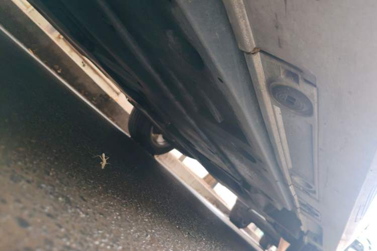 Used Toyota Levin 2019 185T CVT Entry-Level Version China VI Standard Chassis Front Left