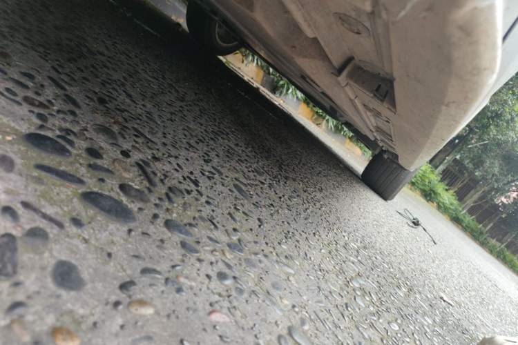Used Toyota Levin 2019 Dual-Engine 1.8H E-CVT Luxury Edition China VI Standard Chassis Front Left