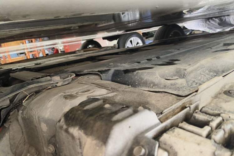 Used Toyota Levin 2019 Dual-Engine 1.8H E-CVT Luxury Edition China VI Standard Chassis Front Right