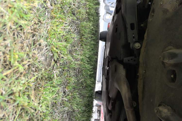 Used Toyota Levin 2019 185T CVT Luxury Edition China VI Standard Chassis Rear