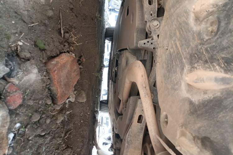 Used Toyota Levin 2019 185T CVT Luxury Edition China VI Standard Chassis Rear