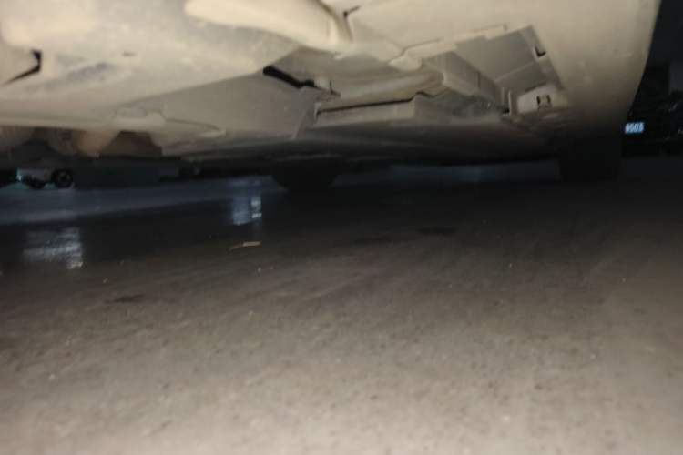 Used Toyota Levin 2019 185T CVT Sport Edition China VI Standard Chassis Rear Right