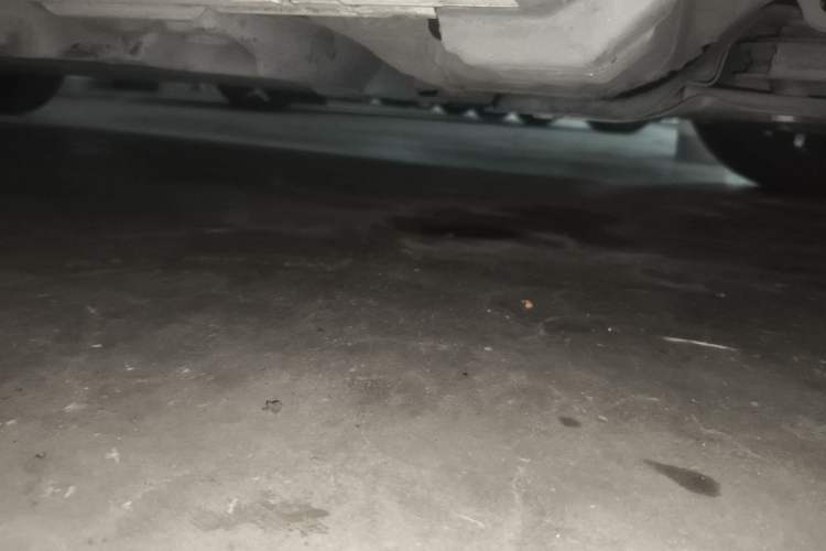 Used Toyota Levin 2019 185T CVT Sport Edition China VI Standard Chassis Rear Right