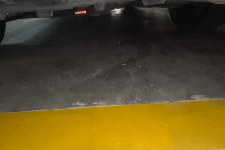 Used Toyota Levin 2019 185T CVT Sport Edition China VI Standard Chassis Rear