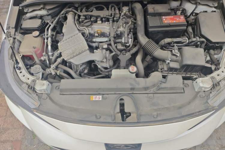 Used Toyota Levin 2019 185T CVT Luxury Edition China VI Standard Engine Bay