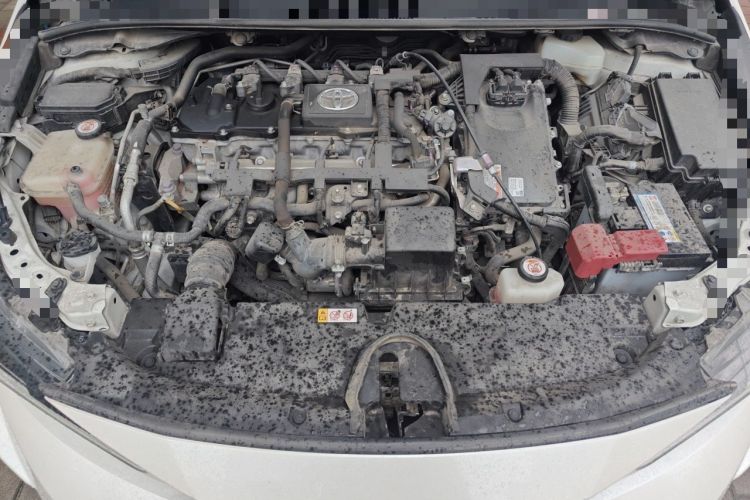 Used Toyota Levin 2019 Dual-Engine 1.8H E-CVT Luxury Edition China VI Standard Engine Bay