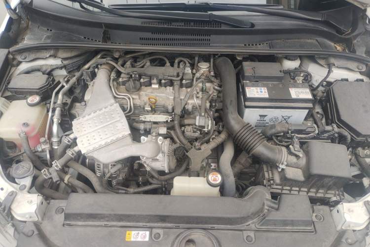 Used Toyota Levin 2019 185T CVT Luxury Edition China VI Standard Engine Bay