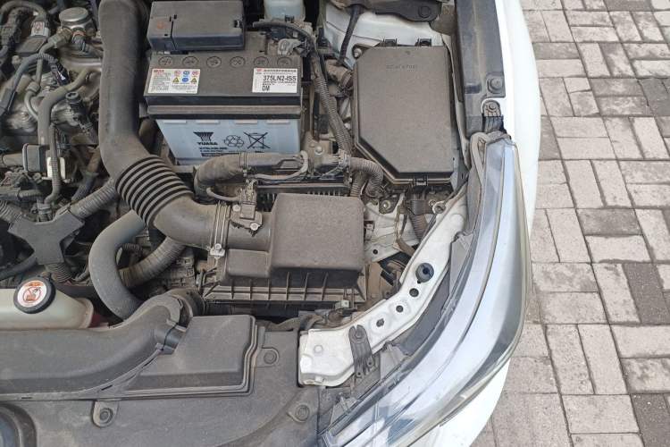 Used Toyota Levin 2019 185T CVT Luxury Edition China V Standard Engine Bay Left