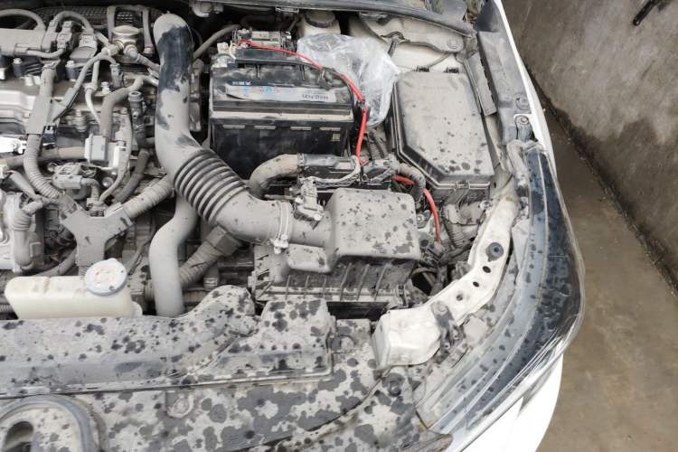 Used Toyota Levin 2019 185T CVT Luxury Edition China VI Standard Engine Bay Left