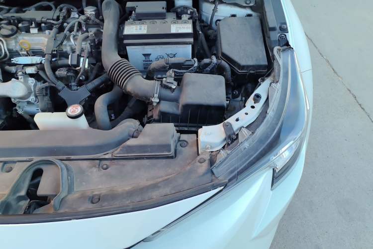 Used Toyota Levin 2019 185T CVT Luxury Edition China V Standard Engine Bay Left