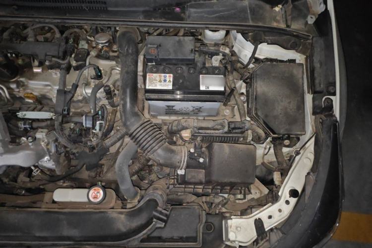 Used Toyota Levin 2019 185T CVT Entry-Level Version China VI Standard Engine Bay Left