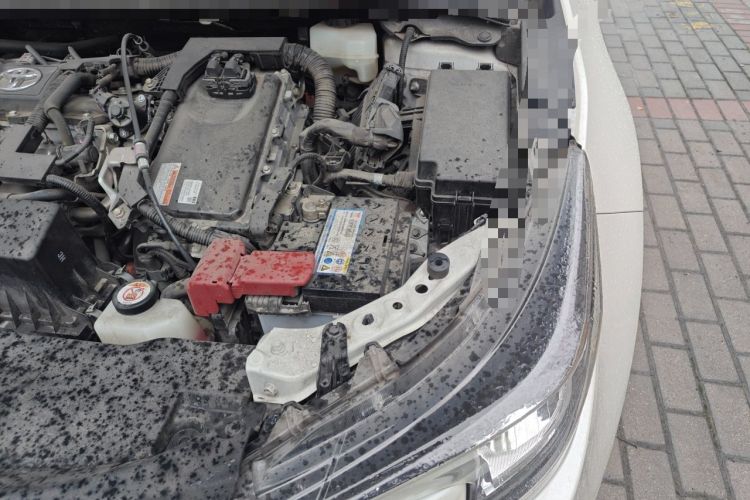 Used Toyota Levin 2019 Dual-Engine 1.8H E-CVT Luxury Edition China VI Standard Engine Bay Left
