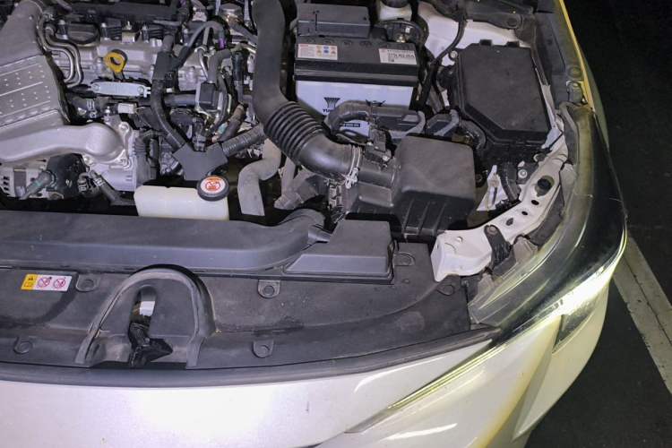 Used Toyota Levin 2019 185T CVT Luxury Edition China VI Standard Engine Bay Left