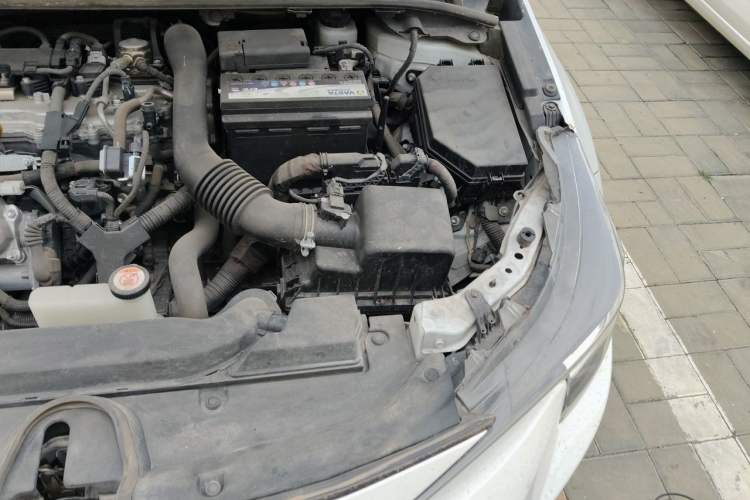 Used Toyota Levin 2019 185T CVT Luxury Edition China VI Standard Engine Bay Left