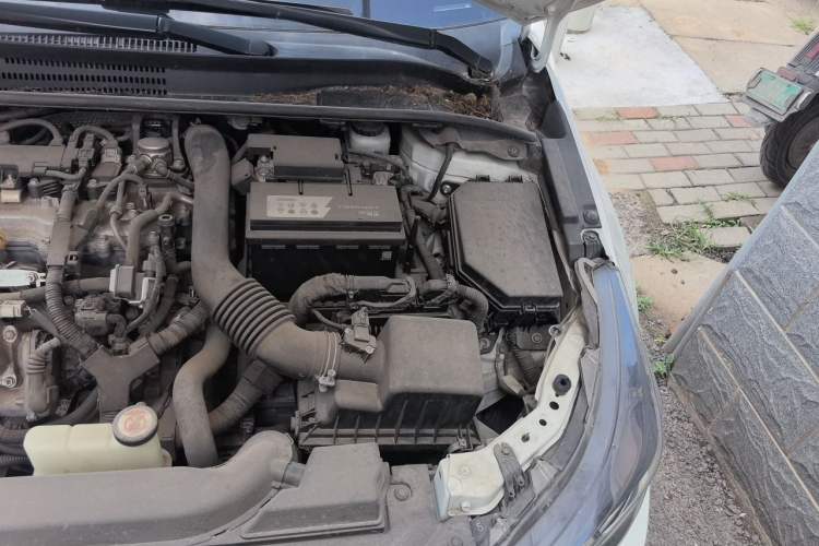 Used Toyota Levin 2019 185T CVT Luxury Edition China V Standard Engine Bay Left