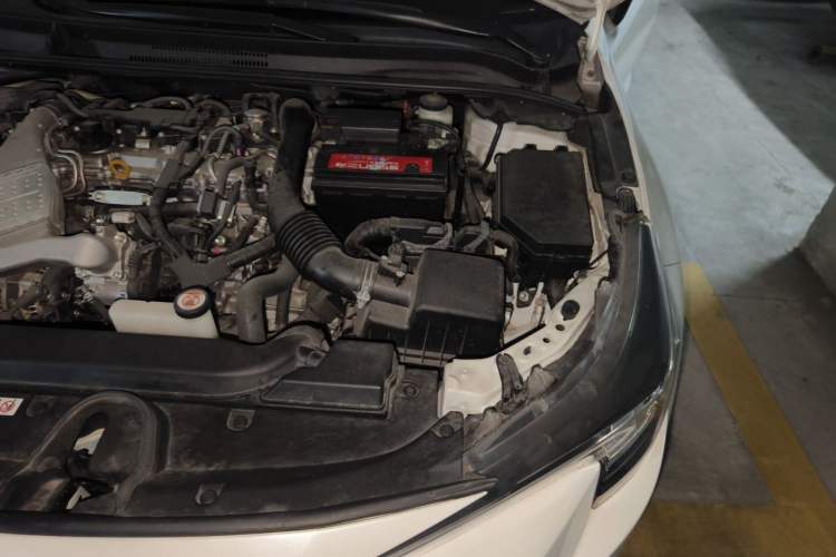 Used Toyota Levin 2019 185T CVT Luxury Edition China VI Standard Engine Bay Left