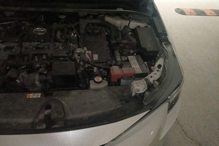 Used Toyota Levin 2019 Dual-Engine 1.8H E-CVT Luxury Edition China VI Standard Engine Bay Left