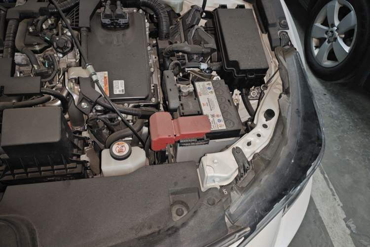 Used Toyota Levin 2019 Dual-Engine 1.8H E-CVT Luxury Edition China VI Standard Engine Bay Left