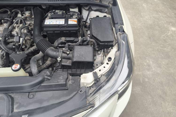 Used Toyota Levin 2019 185T CVT Luxury Edition China V Standard Engine Bay Left