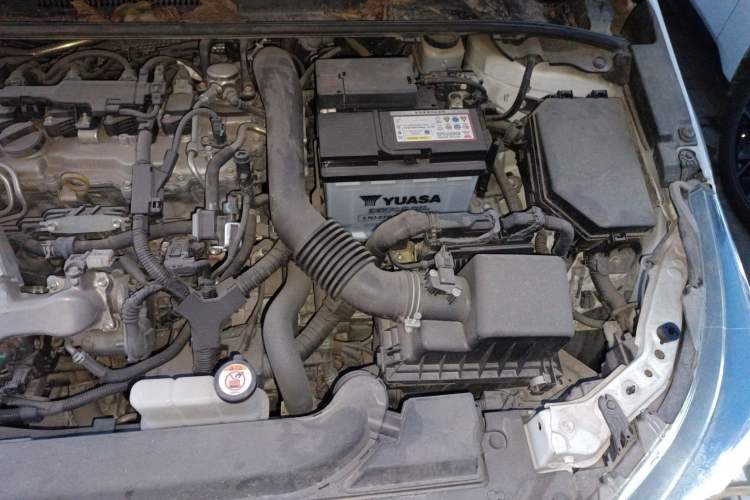 Used Toyota Levin 2019 185T CVT Luxury Edition China V Standard Engine Bay Left