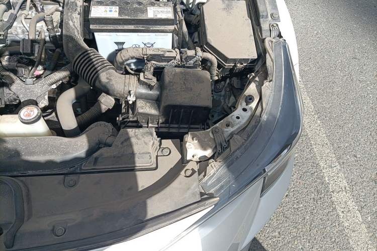 Used Toyota Levin 2019 185T CVT Luxury Edition China V Standard Engine Bay Left