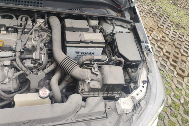 Used Toyota Levin 2019 185T CVT Luxury Edition China VI Standard Engine Bay Left