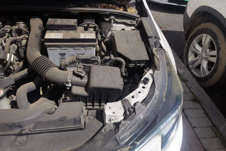 Used Toyota Levin 2019 185T CVT Luxury Edition China VI Standard Engine Bay Left