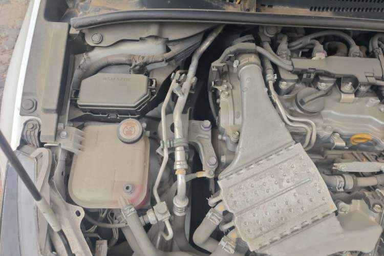 Used Toyota Levin 2019 185T CVT Luxury Edition China VI Standard Engine Bay Right