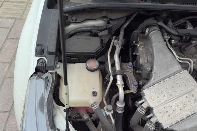 Used Toyota Levin 2019 185T CVT Luxury Edition China VI Standard Engine Bay Right
