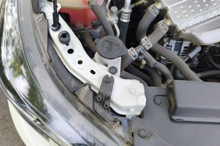 Used Toyota Levin 2019 185T CVT Luxury Edition China VI Standard Engine Bay Right