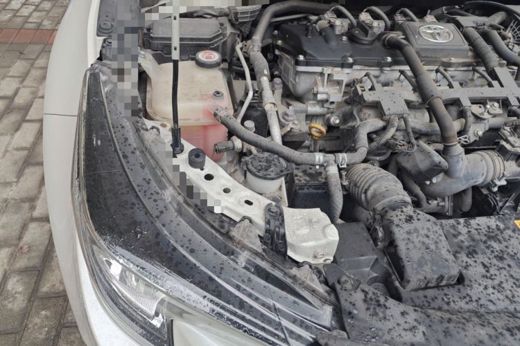 Used Toyota Levin 2019 Dual-Engine 1.8H E-CVT Luxury Edition China VI Standard Engine Bay Right
