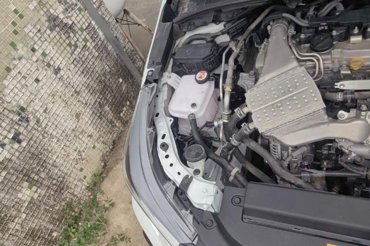 Used Toyota Levin 2019 185T CVT Sport Edition China VI Standard Engine Bay Right