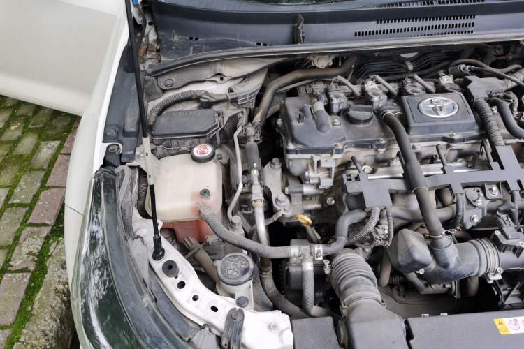 Used Toyota Levin 2019 185T CVT Luxury Edition China V Standard Engine Bay Right