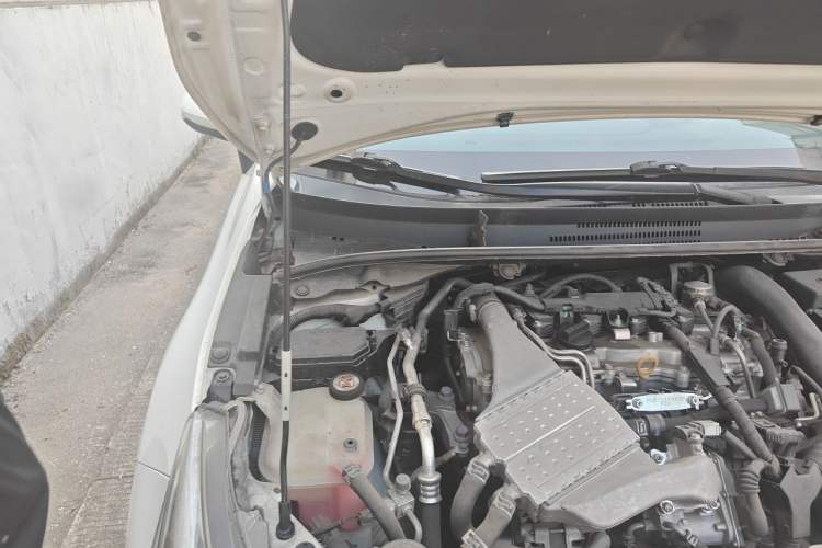Used Toyota Levin 2019 185T CVT Luxury Edition China VI Standard Engine Bay Right