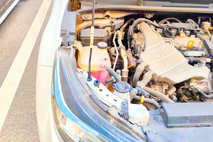 Used Toyota Levin 2019 185T CVT Luxury Edition China VI Standard Engine Bay Right