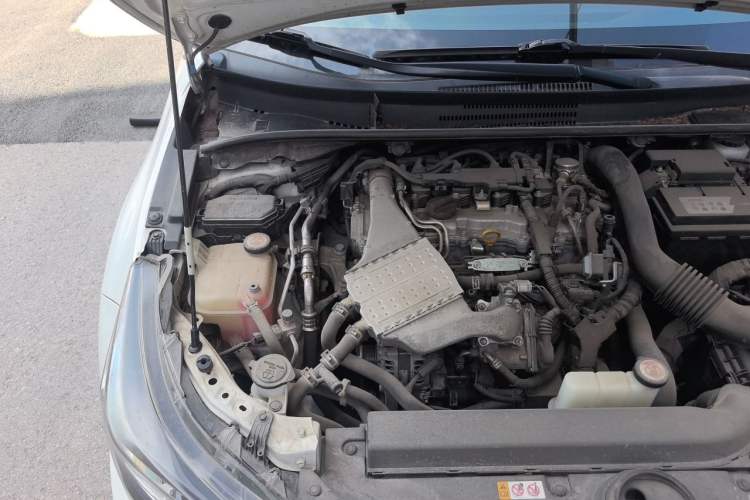 Used Toyota Levin 2019 185T CVT Luxury Edition China V Standard Engine Bay Right