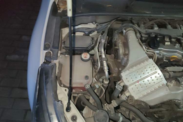 Used Toyota Levin 2019 185T CVT Luxury Edition China VI Standard Engine Bay Right