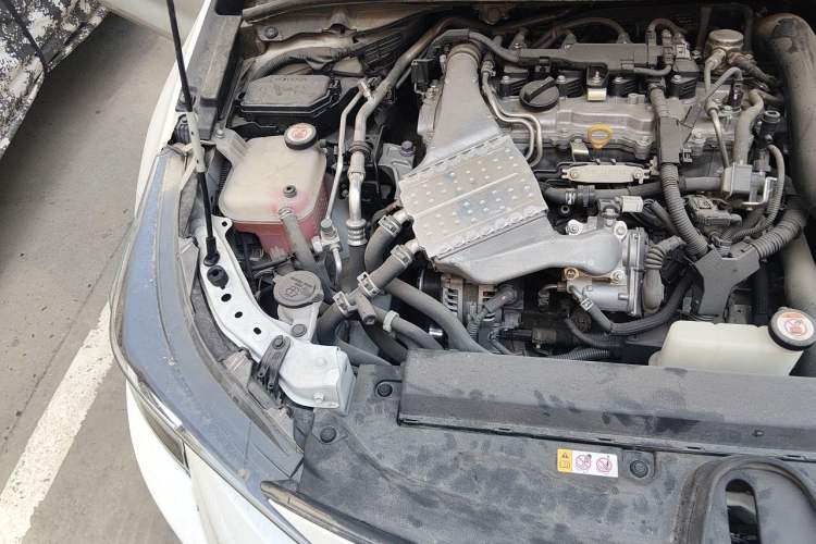 Used Toyota Levin 2019 185T CVT Luxury Edition China VI Standard Engine Bay Right